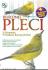 Burung Pleci